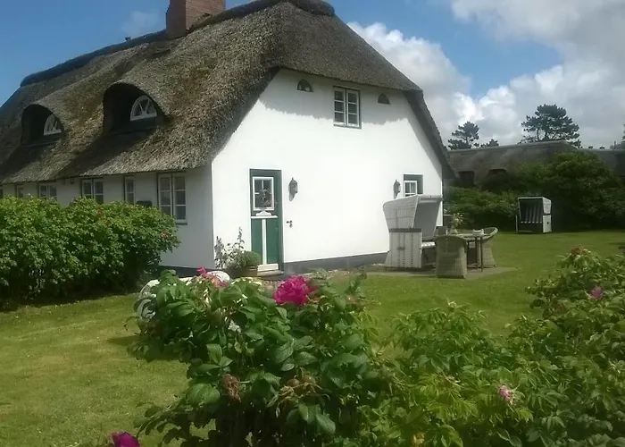 Reetdach Friesenhof Suederende